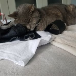 Meet your Posher, Kelly